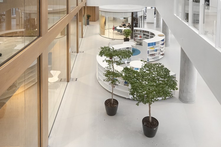 Bedrijfs- bibliotheken