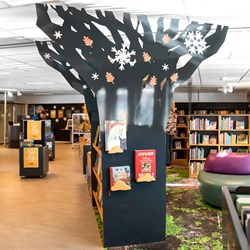 Guldborgsund bibliotheek, Denemarken