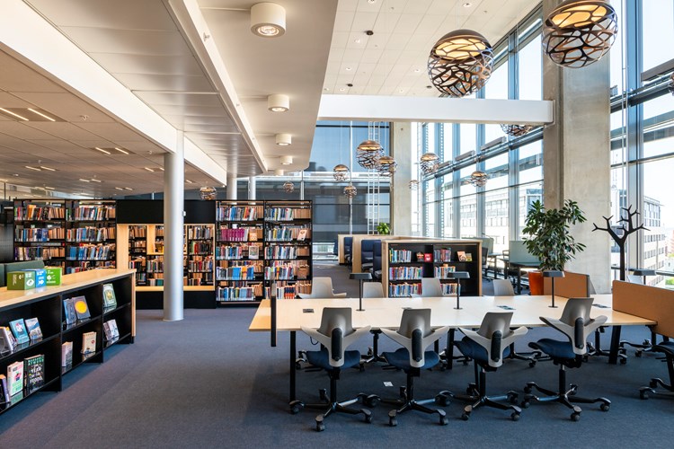 Academische bibliotheken
