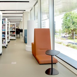 Toulouse bibliotheek, Frankrijk