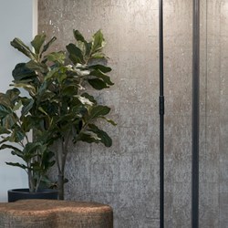 E0101 - Vioolbladficus Large