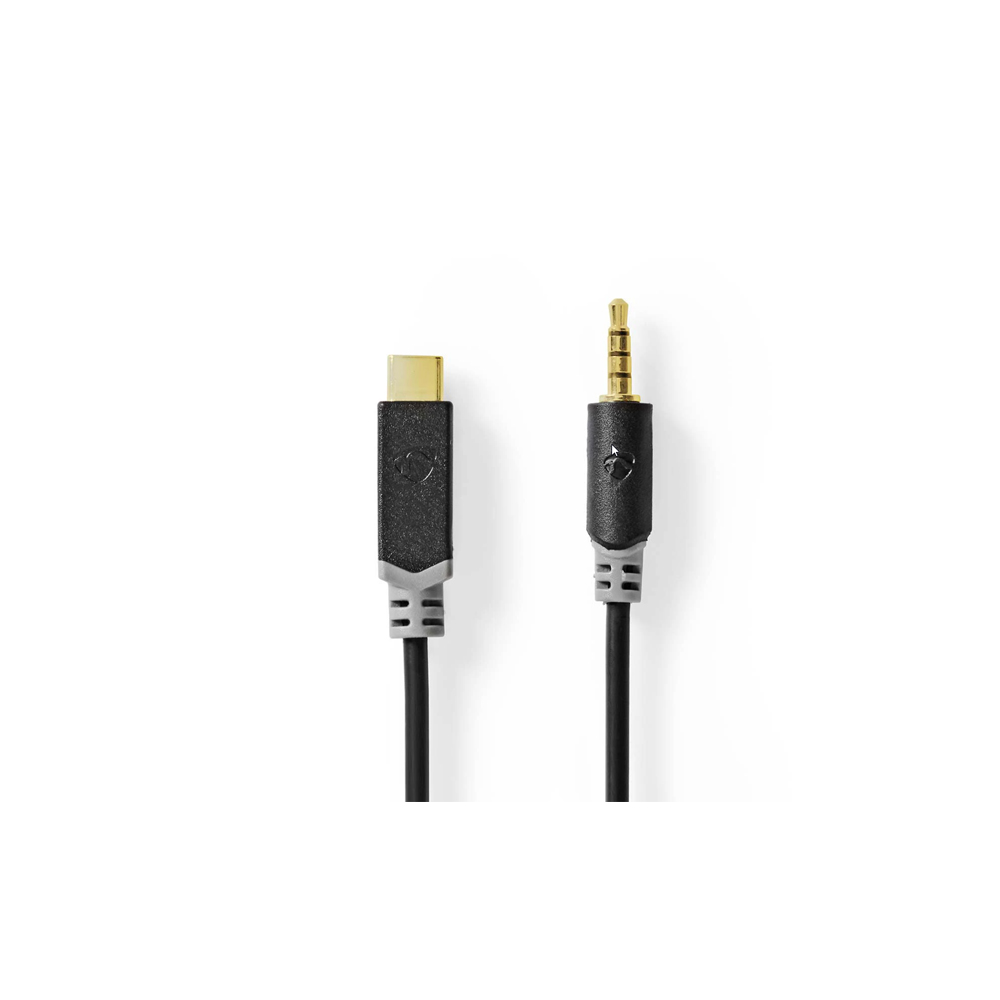 E3875 - Mini Jack naar USB-C