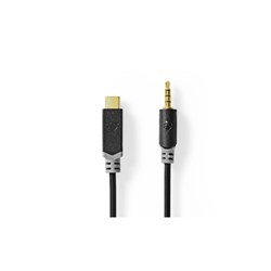 E3875 - Mini Jack naar USB-C