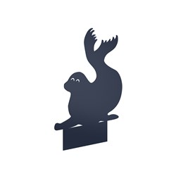E2613 - Zeehond