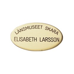 E3329 - goud