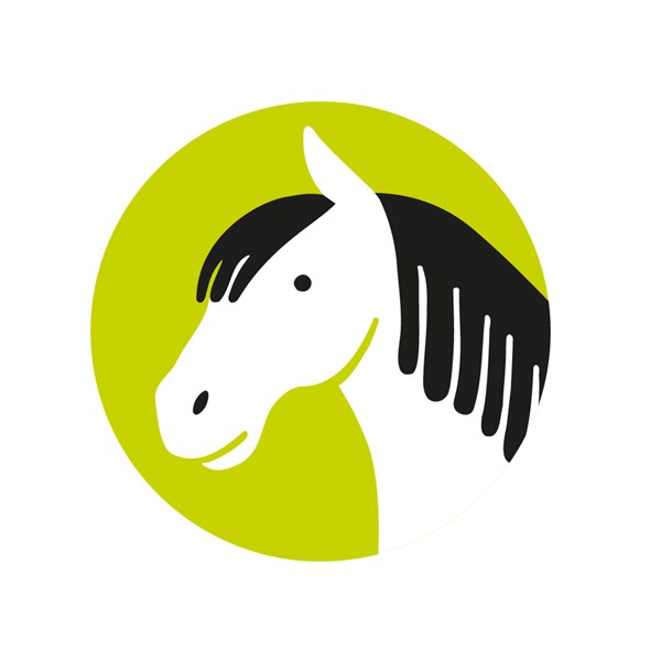 E2282 - paarden
